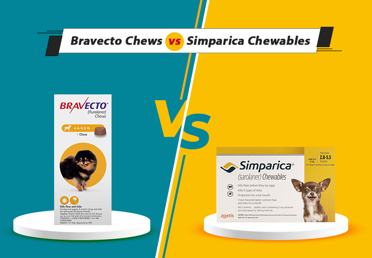 OPW-Blog-Bravecto-vs- Simparica-Chewables-FEb26_03052026_230149.jpg